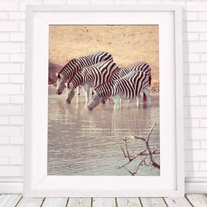 AFRICA SEPIA - Zebra Wild Poster Picture Print Sizes A5 to A0 **FREE DELIVERY** - Picture 1 of 14