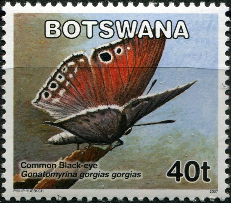 Botswana 2007. Butterflies - Common Black-eye (MNH OG **) Stamp - Image 1 of 1
