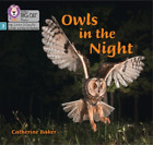 Catherine Baker Owls in the Night (Poche)
