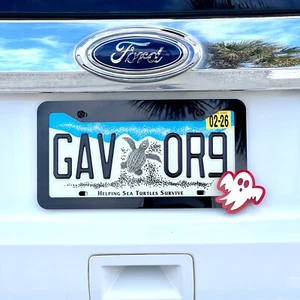 Ghost License Frame Plate - Frame COLOR CHOICE - Picture 1 of 4