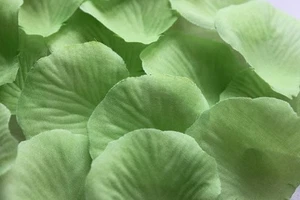 1000 x LIGHT GREEN SILK ROSE PETALS WEDDING CONFETTI TABLE DECORATION - Picture 1 of 2