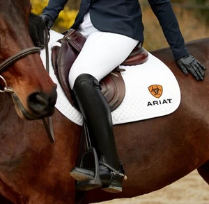ARIAT WMS NITRO MAX HOHER REITSTIEFEL Gr. 7,5 B Medium 10031676 - Bild 1 von 13
