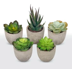 Artificial Succulents Plants-5 PCS Clay Cement type Pots-Realistic Home decor - Picture 1 of 10