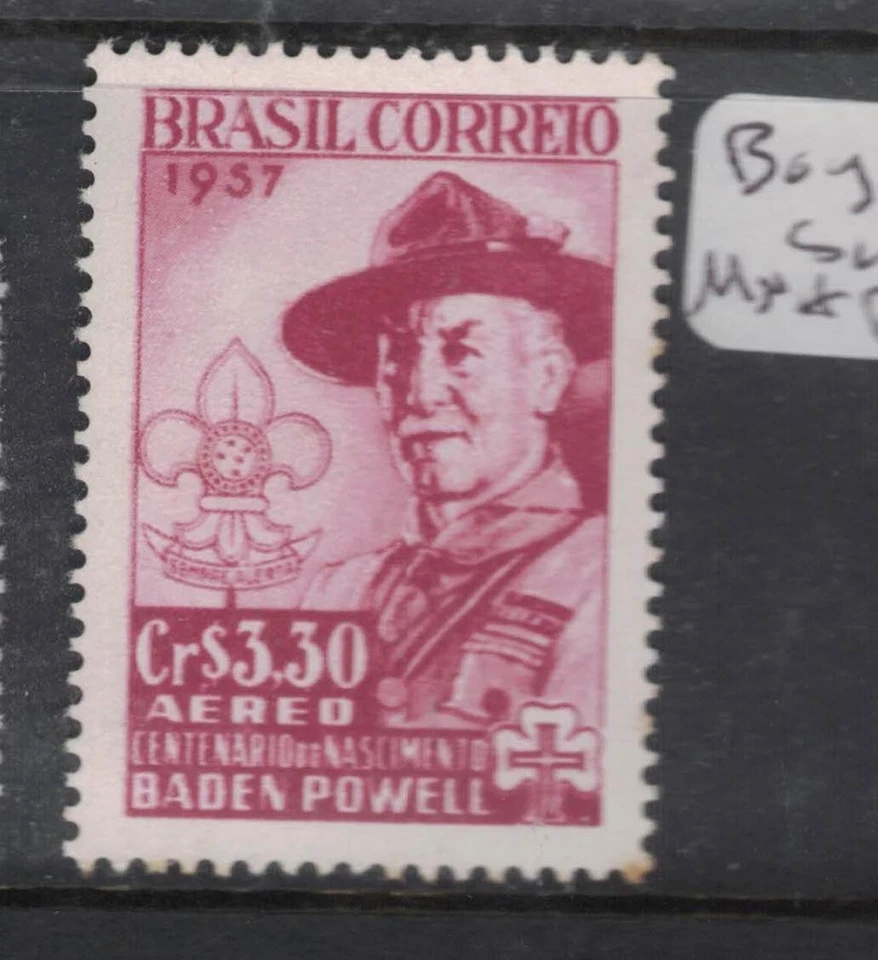 Brasil Boy Scouts SC C87 MNH (6cyy) Foto 1 de 1