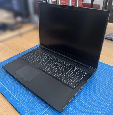 XMG CORE 17; AMD Ryzen 7 4800H; GeForce RTX 3060; 1TB SSD; 16 GB DDR4-3200 - Bild 1 von 4