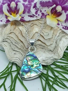 Großer Abalone Anhänger Halskette versilbert atemberaubend bunt Ab17 - Bild 1 von 6