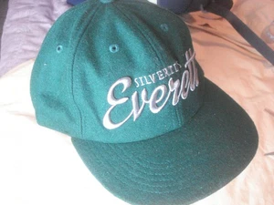 Gorra de béisbol Everett Silvertips de hockey de ligas menores - Lana gruesa, ¡ajuste de correa! - Imagen 1 de 3