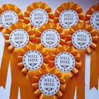 Well Done Rosettes X 10 Per Pack, Choice Of 26 Colours Lowest Price On Ebay!!!!!