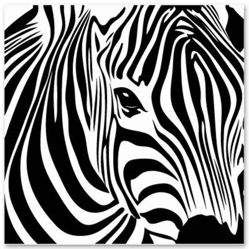 Pegatina Vinilo Coche Cuadrado Cebra - SELECCIONA TALLA Foto 1 de 1