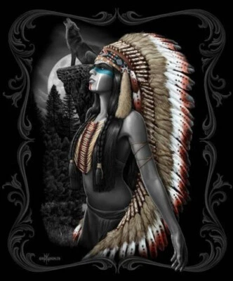 Native American Warrior Blanket, Plush Queen Size Throw, Extremely Soft & Warm - Image 1 of 3