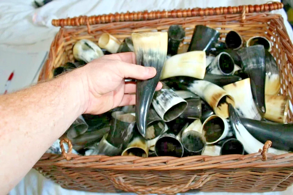 Real Viking Drinking Horns 100ml+ | Medieval LARP Reenactment Set of 50 Bulk