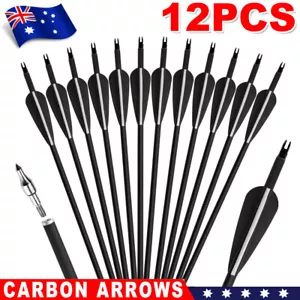 12X Heavy Duty Archery Carbon Arrows Hunting Broadhead Compound Bow Training Set - Picture 1 of 12