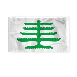 Bandera histórica de 3x5 pies de pino de Nueva Inglaterra Massachusetts bandera hombre cueva - Imagen 1 de 1