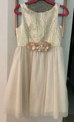 SWEET HEART ROSE GIRLS PRINCESS PARTY DRESS Sz 8 Gold Sparkle Net Skirting - Image 1 of 4