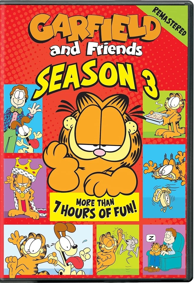 Garfield and Friends Season 3 DVD Desiree Goyette