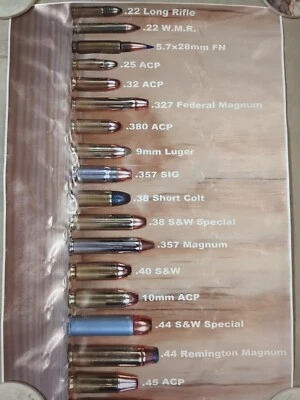Bullet Ammunition Guide - 16" X 24" - Poster Chart - Canvas 4 Ez Framing  - Image 1 of 2
