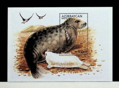 AZERBAIJAN Sc 654-55 NH MINISHEET+S/S OF 1997 - SEA ANIMALS - Image 1 of 2