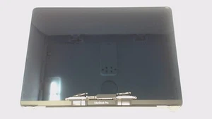 '20 13" Macbook Pro A2338 Space Gray Display 661-17548 CHIPPED GLAS - Afbeelding 1 van 2