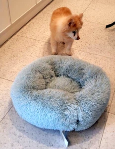 Light Blue Fuzzy 24" W x 8" H Plush Donut Soft-Sided Pet Bed; Cat/Small Dog Nest - Picture 1 of 24
