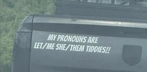 My Pronouns Are let Me She Them Titties Sticker Decal Funny Viral - Picture 1 of 1