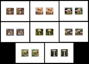 DJIBOUTI 2024 SET 8 DELUXE - REGULAR & OVERPRINT - POISONOUS MUSHROOMS MUSHROOM - Picture 1 of 1