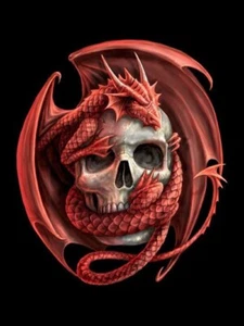 BLACK FRAMED ANNE STOKES ART - DRAGON AND SKULL 3D PICTURE PRINT 325mm x 425mm - Picture 1 of 2