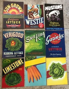 Sun Grown, Westie, Mustang, 9 etiquetas vegetales diferentes, original - Imagen 1 de 1