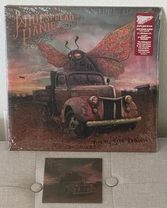 Widespread Panic Dirty Side Down 2 x 180-Gram LPs and CD Copy of Album - Imagen 1 de 24