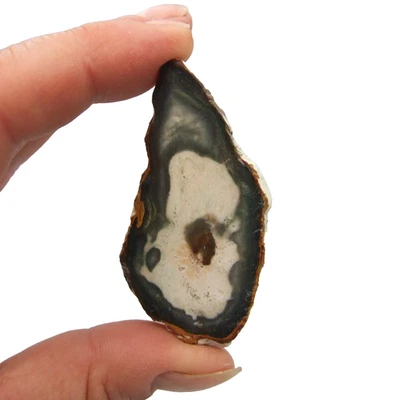 Fossil Petrified Wood Slice Madagascar Polished 6cm x 3cm 15g - Image 1 of 4