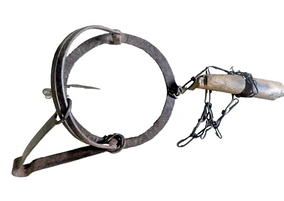 Vintage collectable Rabbit trap Iron tool non serrated steel-jaw leg 10"R x 7"H - Image 1 of 4