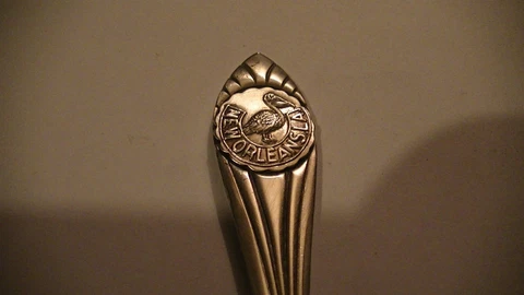 NEW ORLEANS LOUISIANA STERLING SILVER SOUVENIR SPOON .925 PELICAN COLLECTIBLE Cover