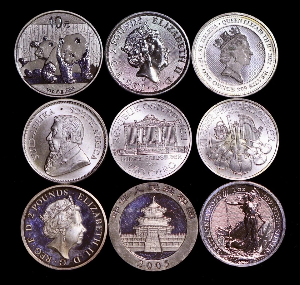 Random Year - World Mint 1 oz Silver Coin .999+ Fine Silver - Cull/Milk Spots - Image 1 of 1