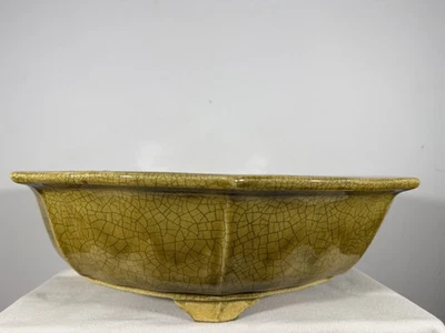 "Olla bonsai japonesa Tokoname estilo Rinka usada Mazan Terahata - 20,75"" por 5,25" Foto 1 de 4