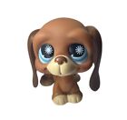 Littlest Pet Shop Basset Hound 808 Dog Blue Starburst Eyes Authentic LPS