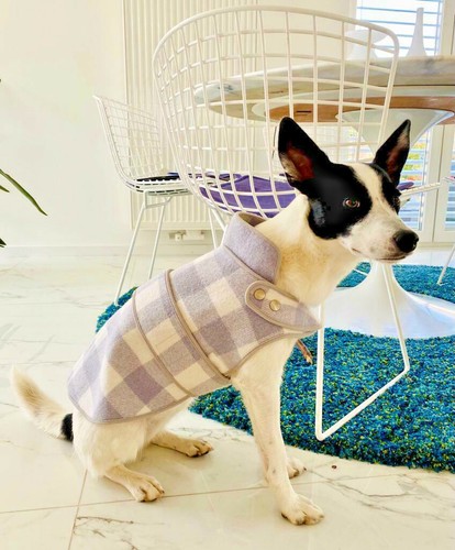 HERMÈS HERMES PARIS CANE CAPPOTTO CANE COAT BLU BIANCO A QUADRETTI CANI GIACCA LANA RARA