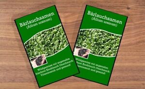 Bärlauch Waldknoblauch Samen- Allium ursinum - Bärlauchsamen - Kräutersamen