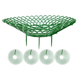 5 Pcs Gardening Planting Rack Strawberry Growing Supports Growth - Picture 1 of 12