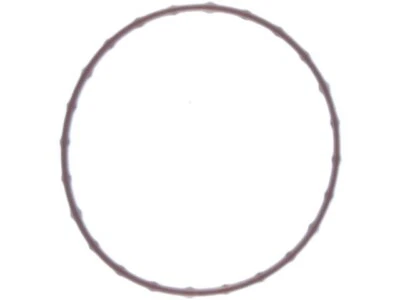 Junta tórica termostato Mahle para Toyota Land Cruiser 2008-2011, 2013-2020 49937DXVJ Foto 1 de 2