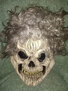 Eastern Unlimited Inc Skull Mask Gray Hair Spooky Scary Halloween Dress Up - Picture 1 of 6