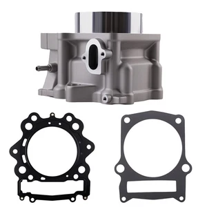 Motor Cylinder Kit for Yamaha Raptor 700 YFM700R All Models 2006-2020 102mm - Foto 1 di 12