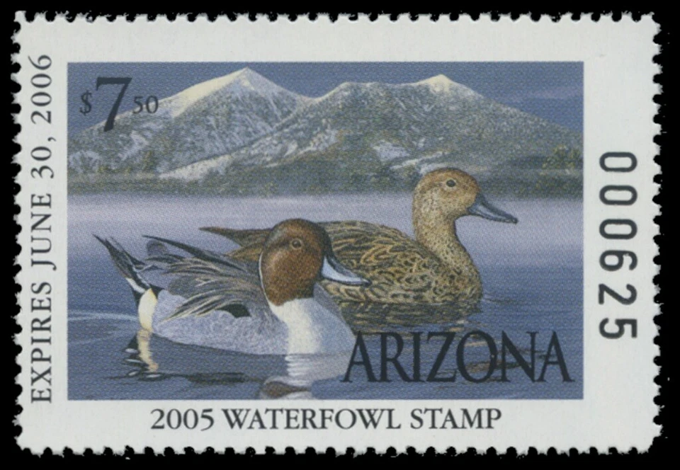 2005  Arizona State Duck Stamp Mint Never Hinged. Original Gum  - Image 1 of 1