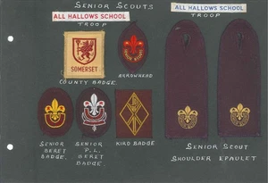 1950's UNITED KINGDOM SCOUTS - SOMERSET SENIOR SCOUT BADGES, EPAULET, BP, WOGGLE - Picture 1 of 2