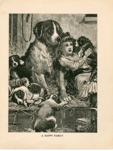 LITTLE GIRL WITH SAINT BERNARD DOG AND PUPPIES LOVELY ANTIQUE 1901 ART PRINT - Picture 1 of 1