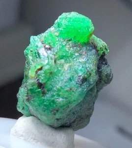 Beautiful Emerald Crystal Specimen from Pakistan 31 Carats - Picture 1 of 12