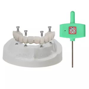 Dental typodont Implant Upper jaw all on 4 Model pure titanium Bridge - Picture 1 of 11