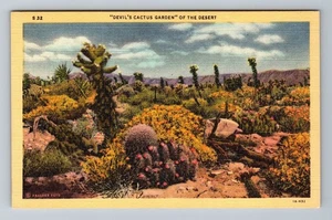 Postal de recuerdo de colección Devils Cactus Garden of the Desert - Imagen 1 de 2