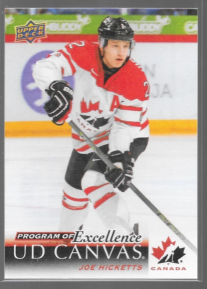 18/19 Upper Deck Program of Excellence Canvas Rookie Joe Hicketts C269 Wings - Image 1 of 1