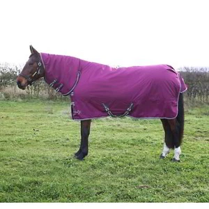 StormX Empra 200g Combi Turnout Rug - Purple - Picture 1 of 1