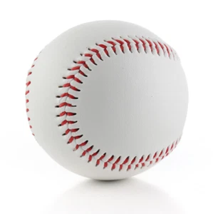 Hard Filling Practice Trainning Base Ball 9in Softball Baseball Wooden Bat Hit - Picture 1 of 2