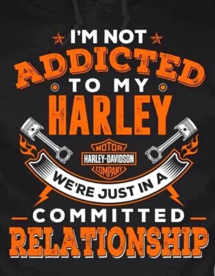 HORQUILLAS DELANTERAS HARLEY DAVIDSON PATAS INFERIORES Street Glide Road King 2014-2023 OFERTA Foto 1 de 4